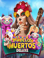 คู่มือแนะนำ รหัส เท ส joker สำหรับมือใหม่